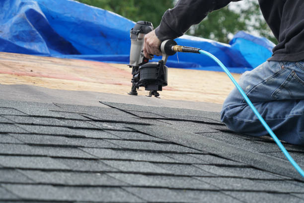 Best Roof Gutter Cleaning  in Greenwich, OH